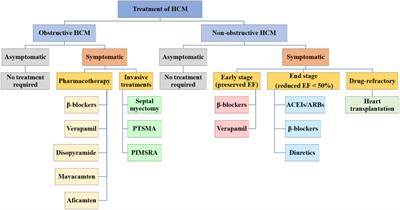An overview of the treatments for hypertrophic cardiomyopathy